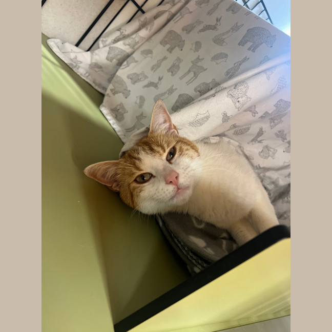 Photo of Nigel 