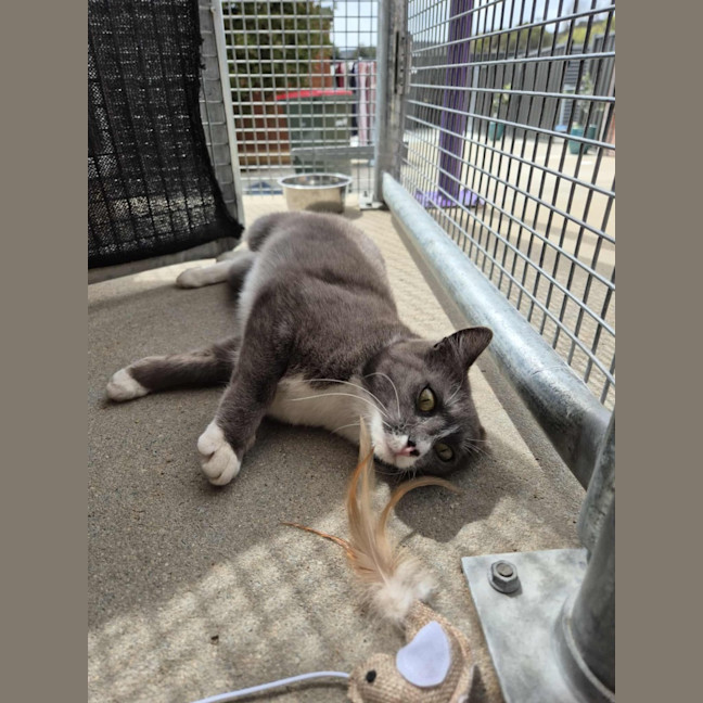 Photo of Mary! 🕊️