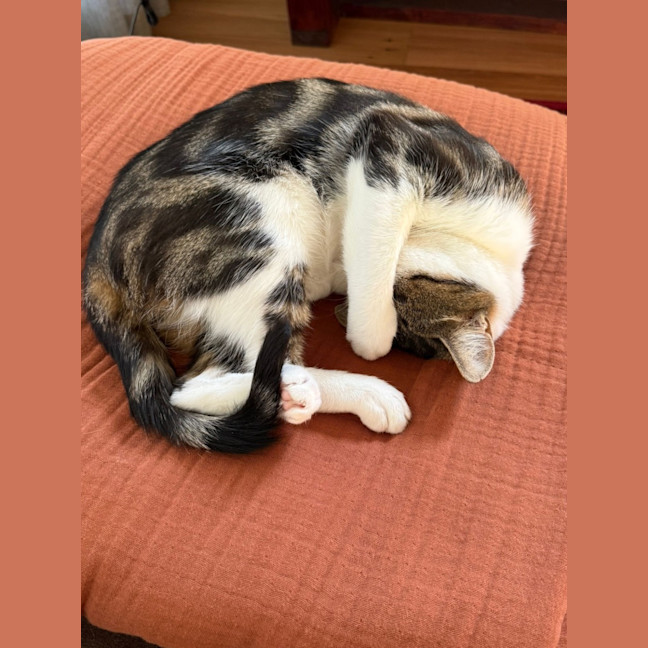 Photo of Elsie
