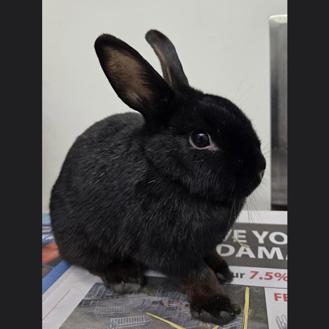 Photo of Nancy