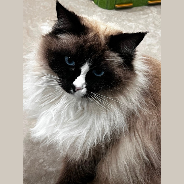 Photo of Oliver