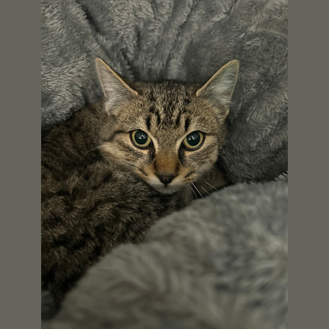 Photo of Bobby