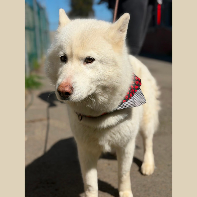 Photo of Narla