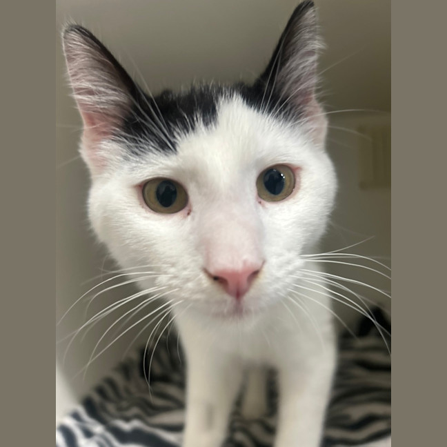 Photo of Wednesday