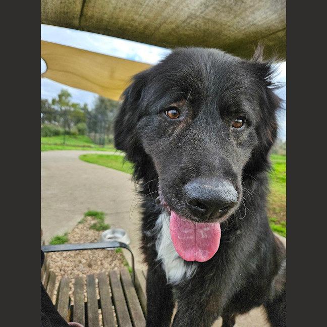 Photo of Lenny