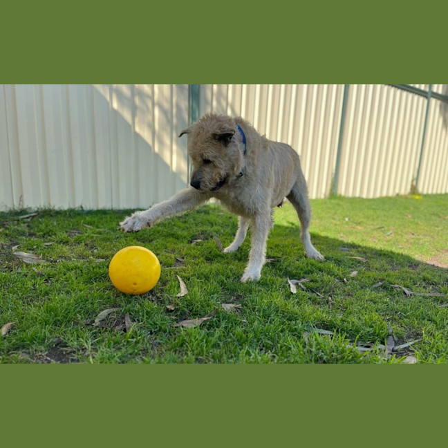 Photo of Marlo