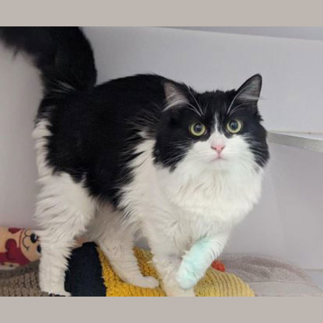 Photo of Marceline