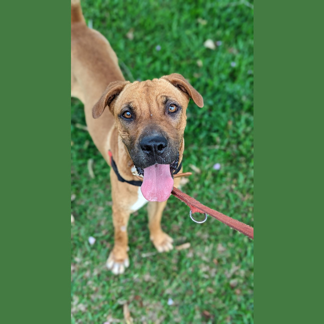 Photo of Ruby