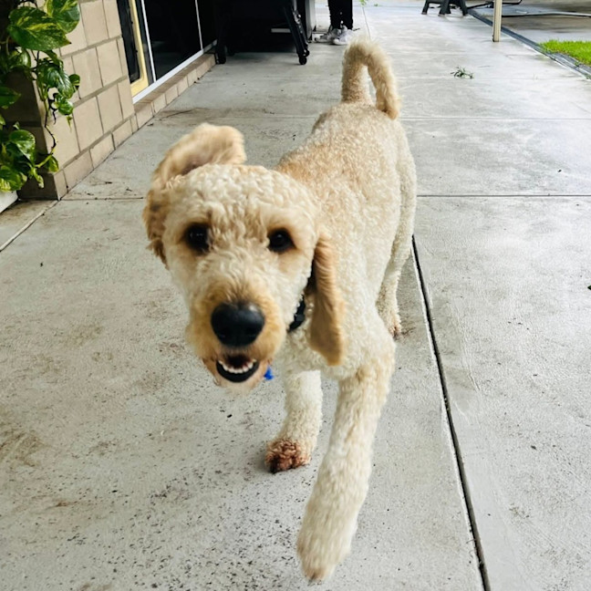 Photo of Mo