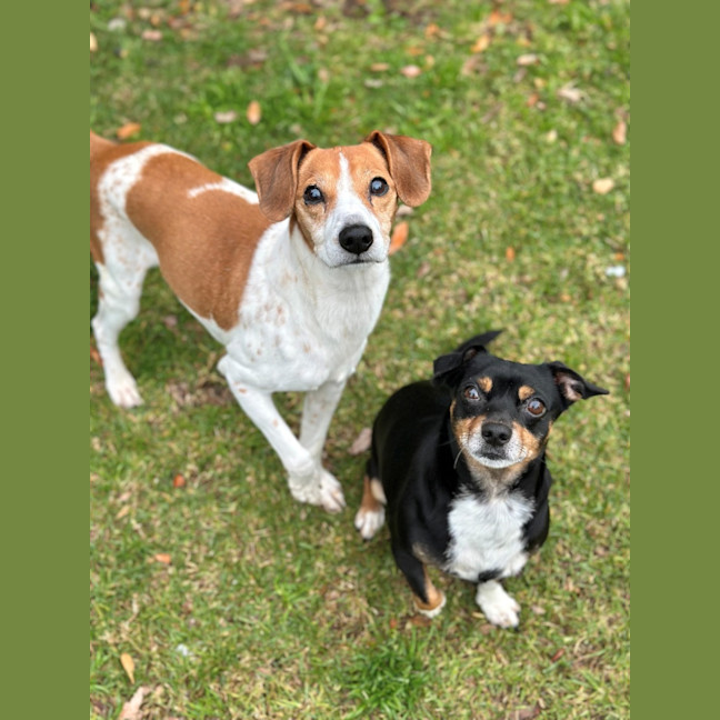 Photo of Mako & Buddy 