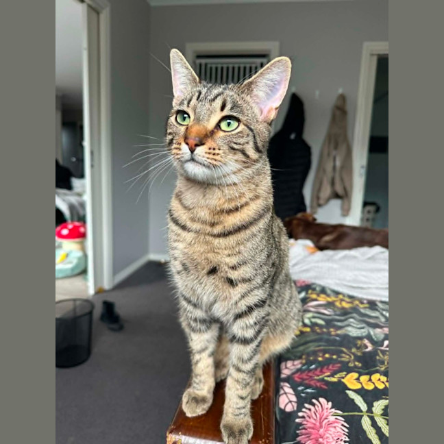 Photo of Klaus