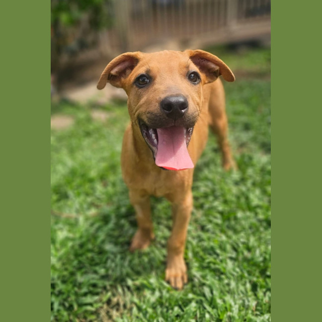 Photo of Taz