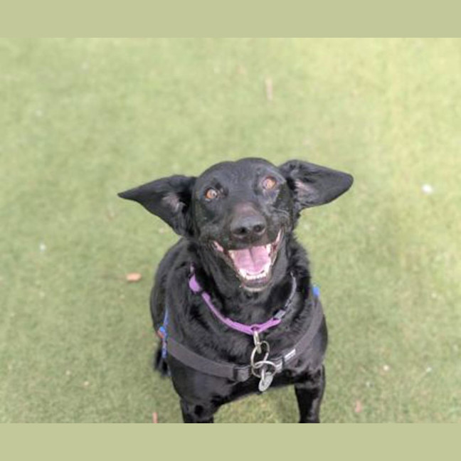 Photo of Ares