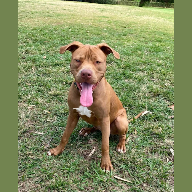Photo of Tutu