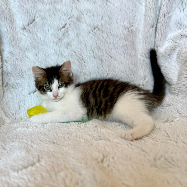 Photo of Victor   On Display At Vets On Parker