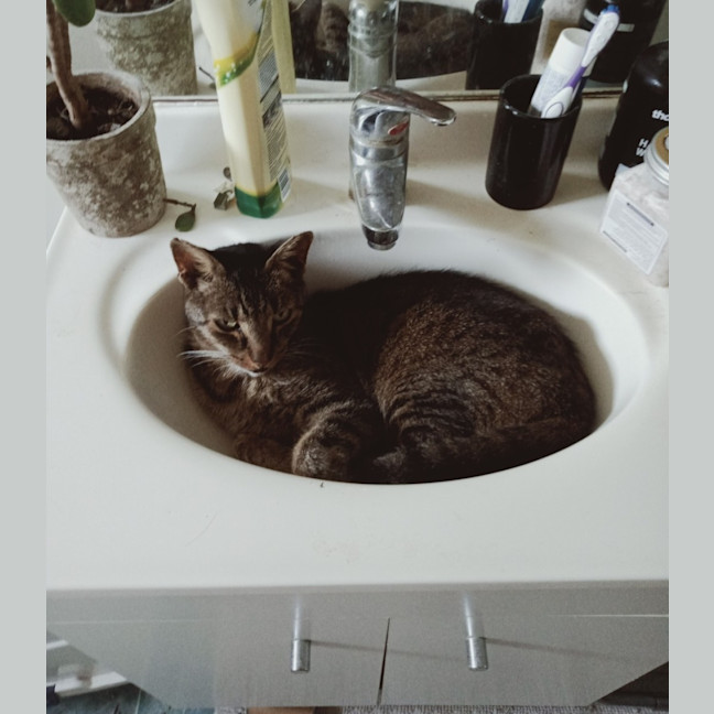 Photo of Sophee