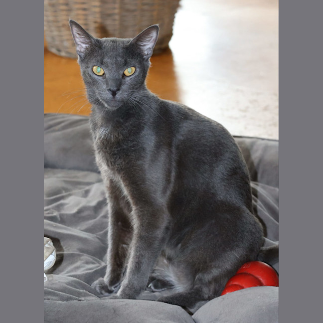 Photo of Nile