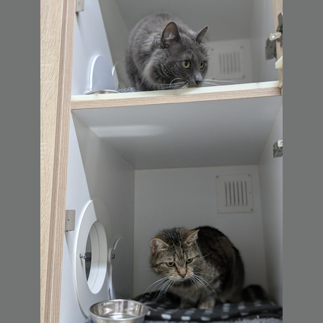 Photo of 💞 Pablo 6791 💞