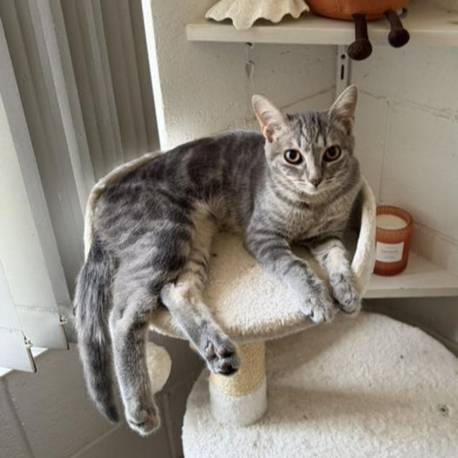 Photo of Hazel
