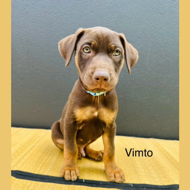 Photo of Uk Beverages Litter