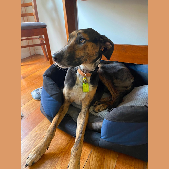 Photo of Lucy