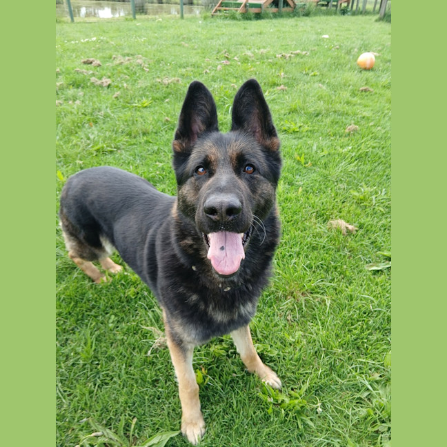 Photo of Luckie
