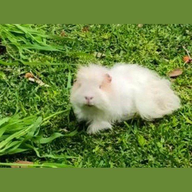 Photo of Max & Floyd 