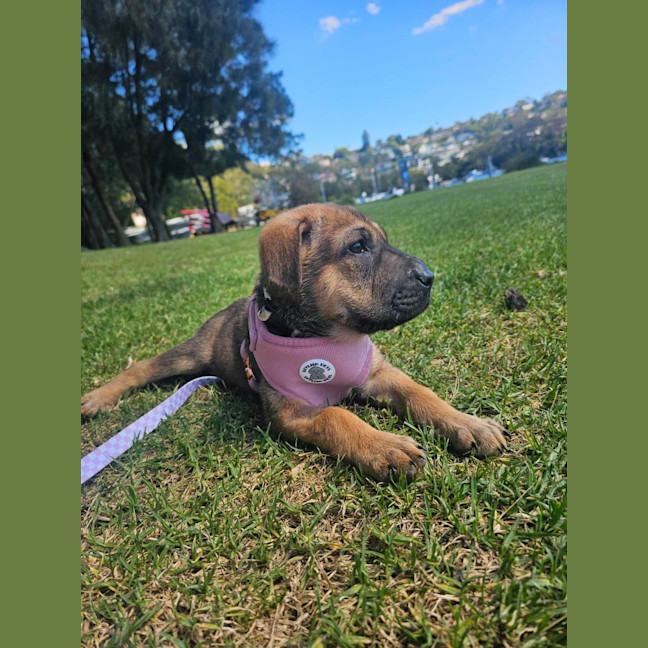 Photo of Jelly