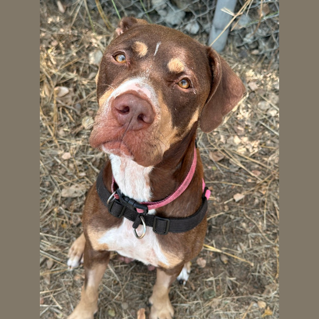 Photo of Bonnie