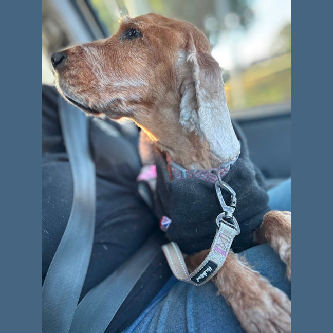 Photo of Maddie