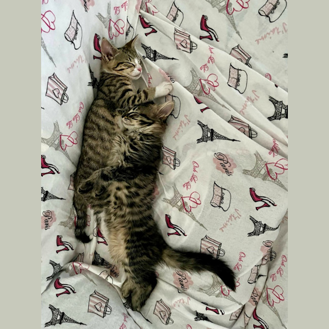 Photo of ❄ Aspen ❄