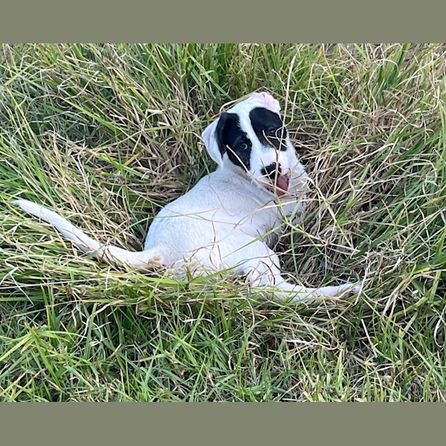 Photo of Tia Leighdara