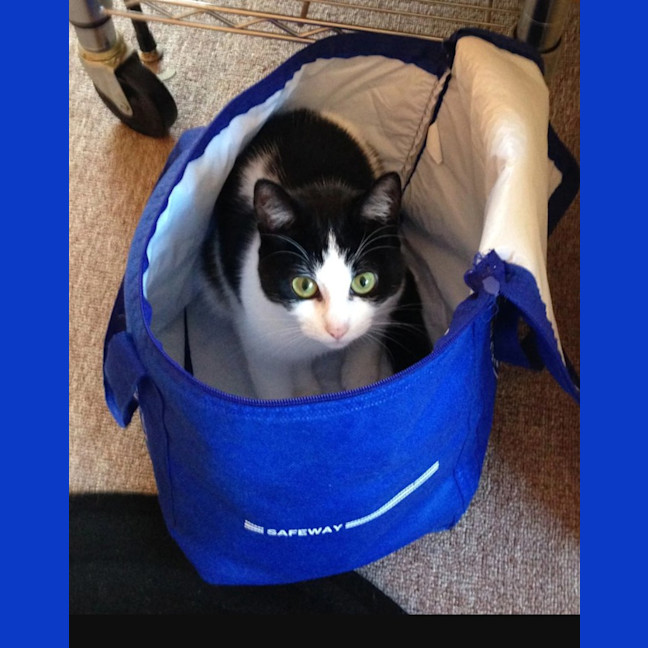 Photo of Matilda (Tilly) 