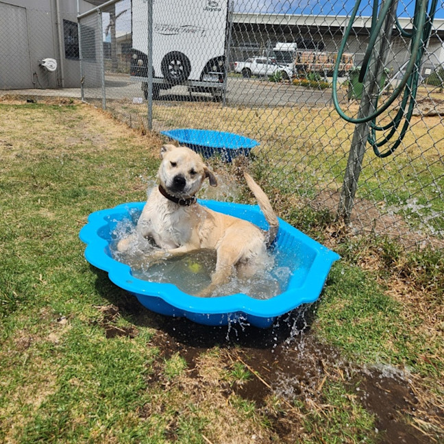 Photo of Duke (68040)