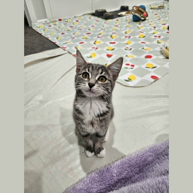 Photo of Zoya
