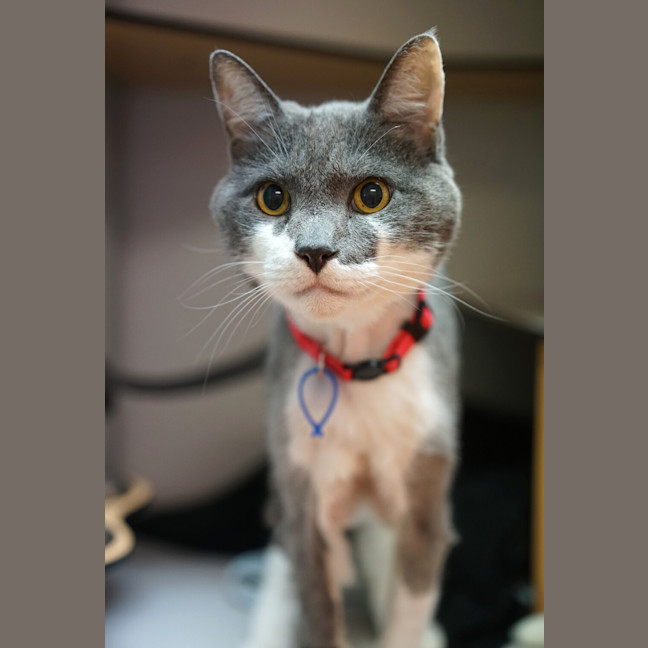 Photo of Principal Flutie 