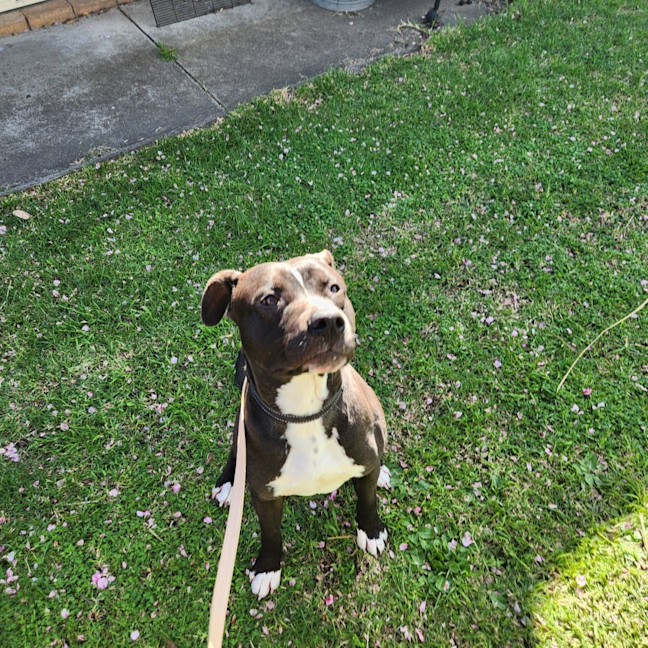 Photo of Billy   64074