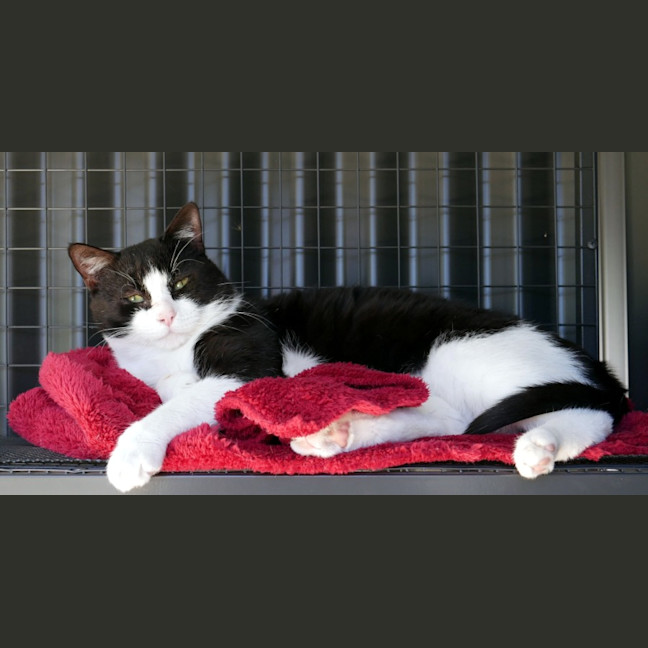 Photo of Eddie Sua014295