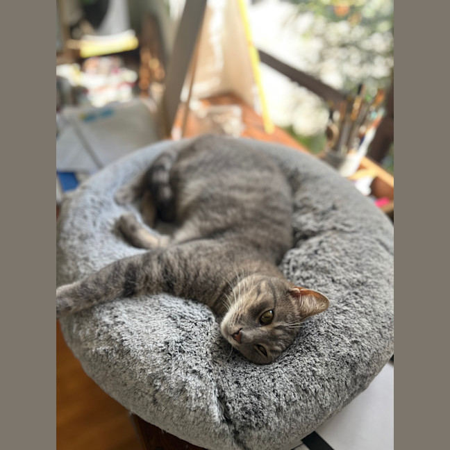 Photo of Roxy