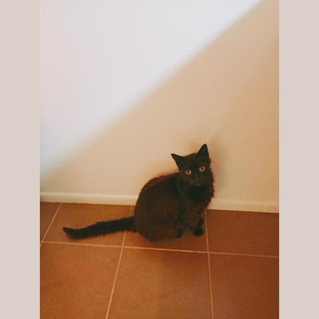 Photo of Sammy