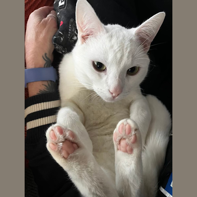Photo of Wally