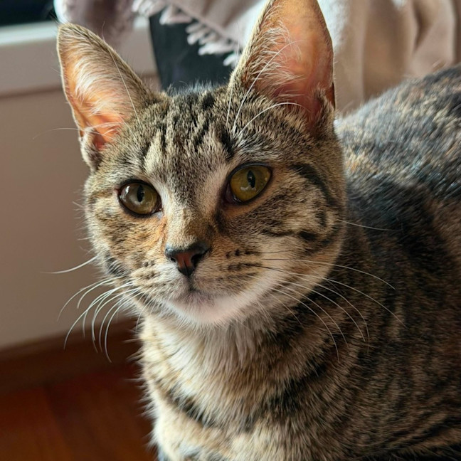 Photo of Natasha   In Foster Care In Templestowe
