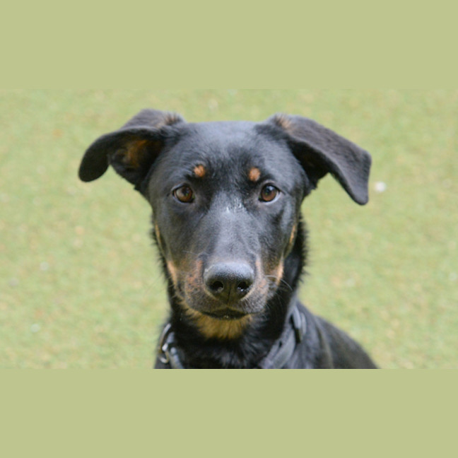 Photo of Kaiya
