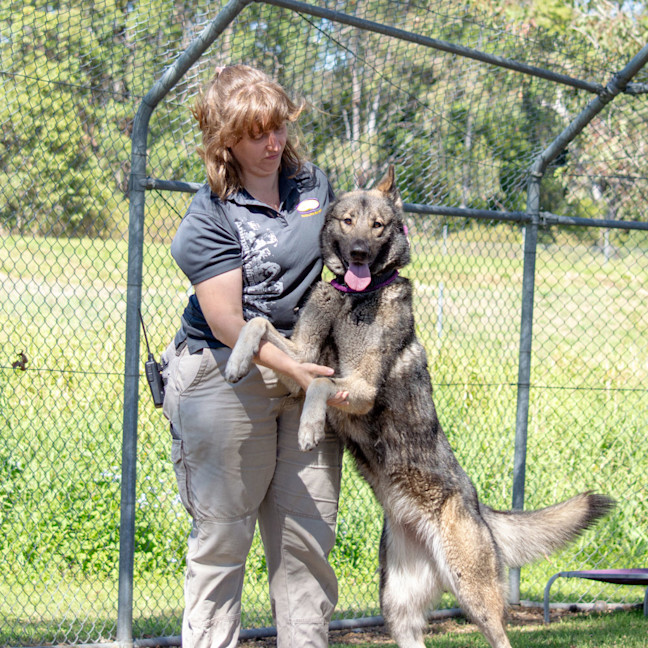 Photo of Kona