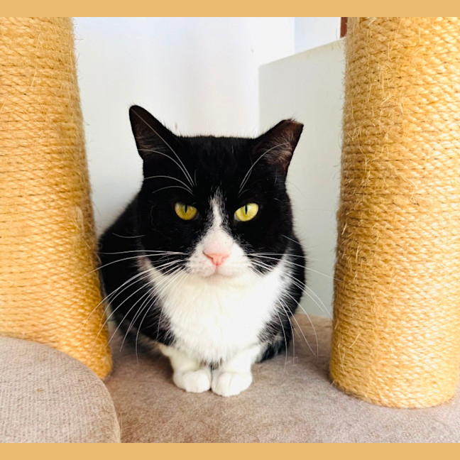 Photo of Gatsby 🌟