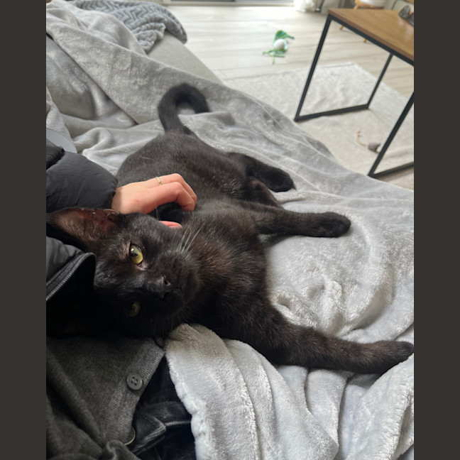 Photo of Vader