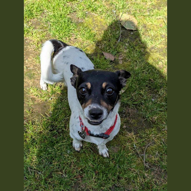 Photo of Mabel Uffelman  