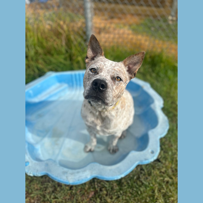 Photo of Bruce