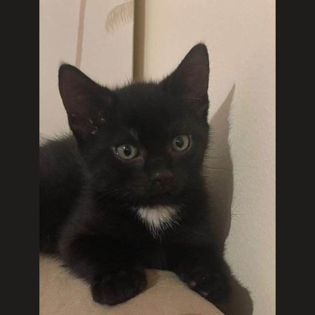 Photo of Johnny Walker