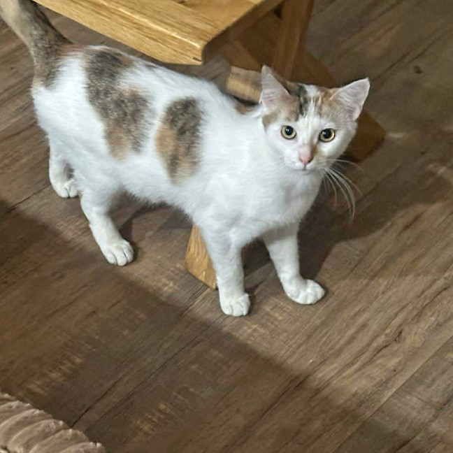 Photo of Xena